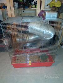 gabbia per criceti