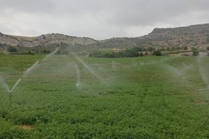 Terreno agricolo