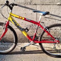 MTB Ragazzo Galant