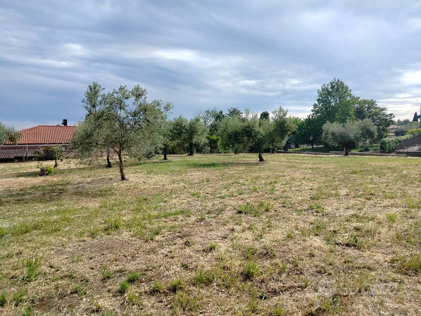 Terreno edificabile con uliveto. VELLETRI - Vista 3