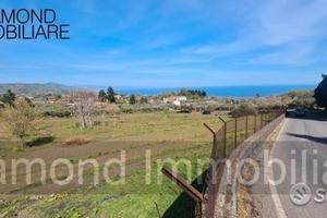 Terreno 15.000 mq a piedimonte etneo