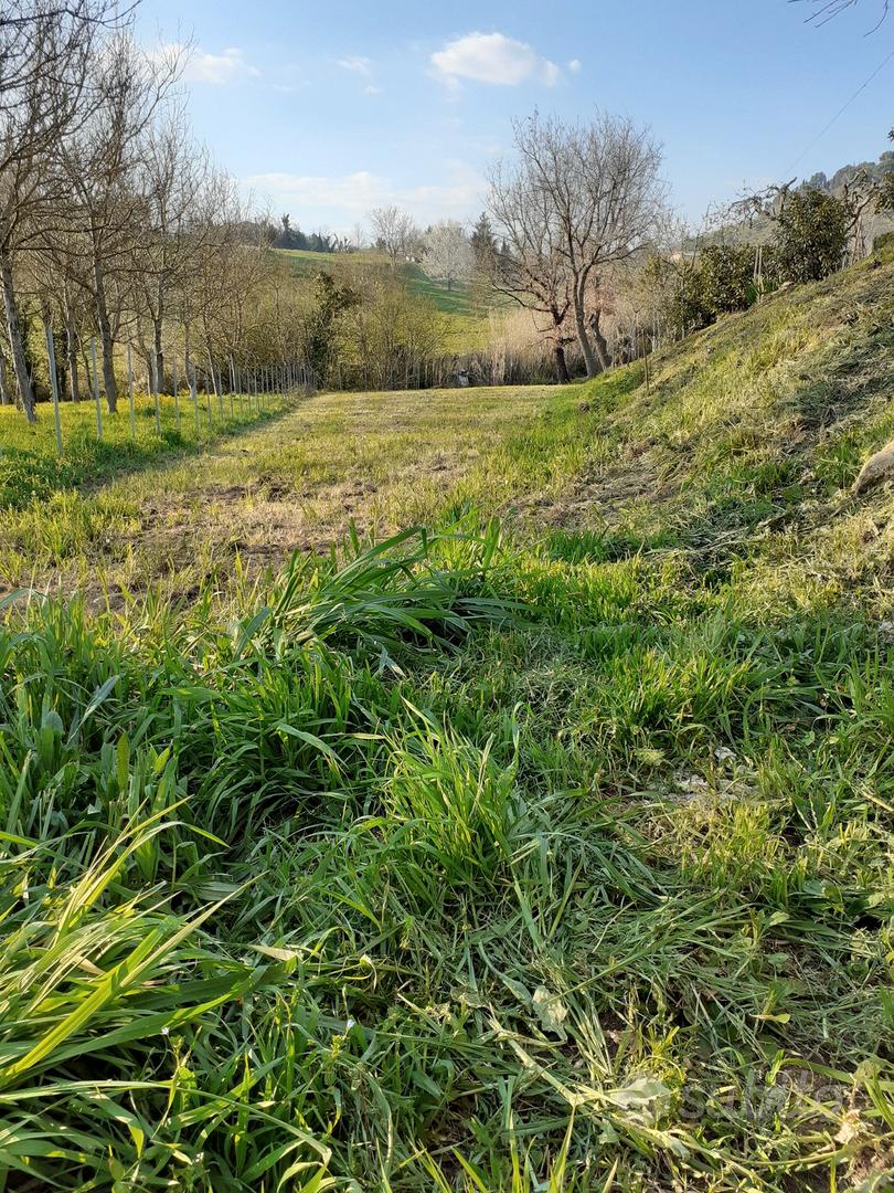 Terreno castel madama - Vista 4