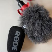 Rode Video micro 2