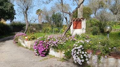 Casa indipendente zona Badde Pedrosa (Taniga)