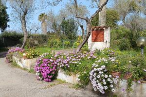 Casa indipendente zona Badde Pedrosa (Taniga)