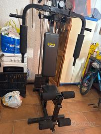 Palestra atala ginny