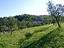 Immagine 28