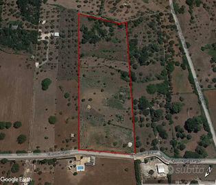 Terreno di 13800 m² a Alberobello