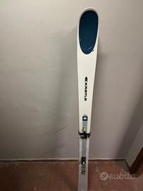 Sci da sci alpinismo