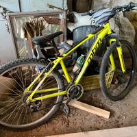 Bici mbm