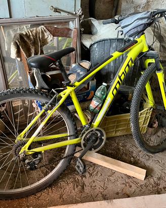 Bici mbm