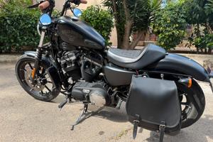 sportster  883 iron