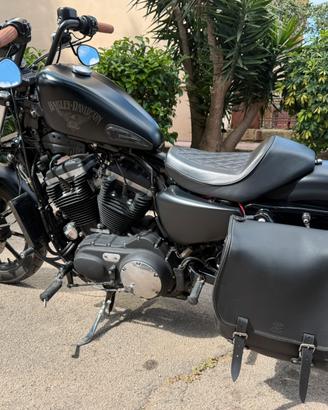 sportster  883 iron