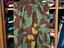 Immagine 5