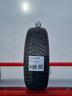 gomme-usate-falken-195-65-15-guarda-catalogo