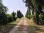 Immagine 5
