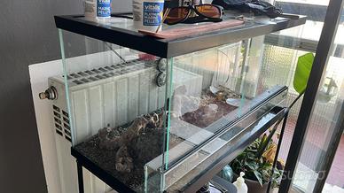 Teca/terrarium