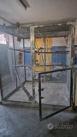 voliera per pappagalli 