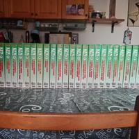 collezione non completa 