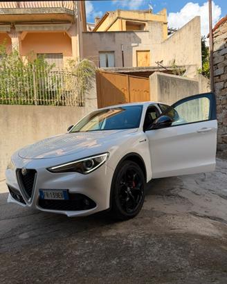 Alfa romeo stelvio 2.2 210 cv Q4