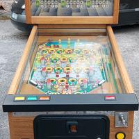 Flipper Medieval Bingo Vintage