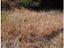 Immagine 24