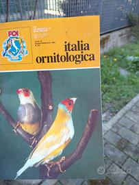 fascicoli Italia ornitologica