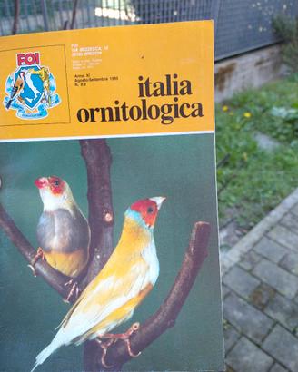 fascicoli Italia ornitologica