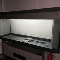 N° 1 Acquario in vetro temperato