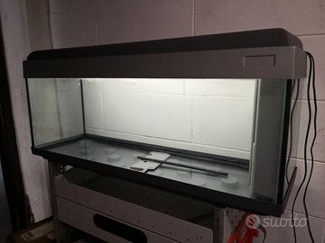 N° 1 Acquario in vetro temperato