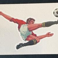 Tatuaggio logo calciatori Panini 2025/26