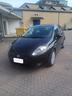 fiat-grande-punto-aperti-ad-agosto
