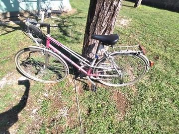 Bicicletta vantage da donna 