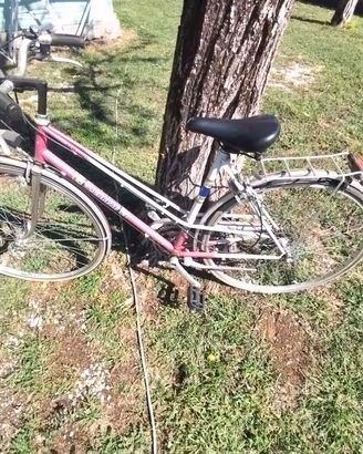Bicicletta vantage da donna 
