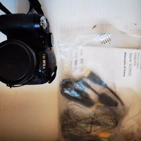 Fujifilm Finepix S2950