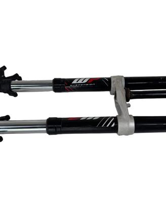 Forcella Ant Completa KTM Duke 200cc 2012