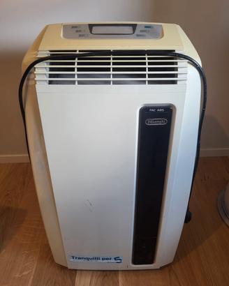 Condizionatore pinguino Delonghi