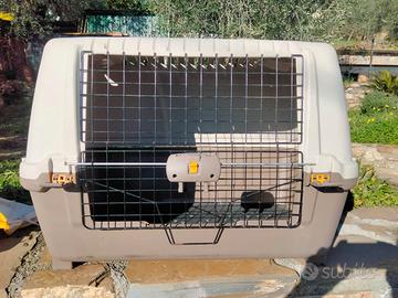 Gabbia Kennel auto