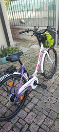 bici donna olmo California raggio 26