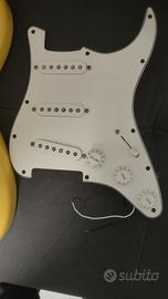 corpo e battipenna precablato fender player Strato