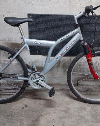 Mountan Bike Economica