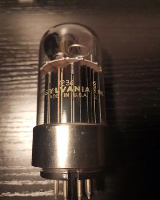 Valvola per amplificatore Sylvania 7236