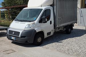 Fiat ducato centinato