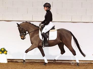 Pony dressage e salto
