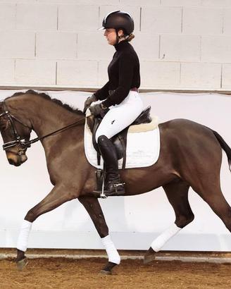 Pony dressage e salto