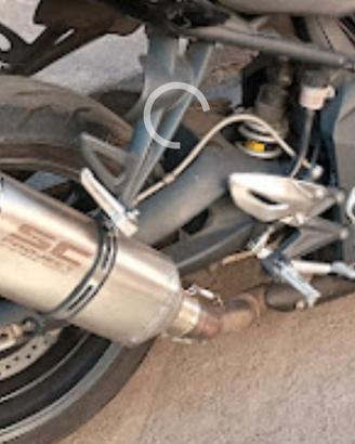 scarico  marmitta Triumph street 675