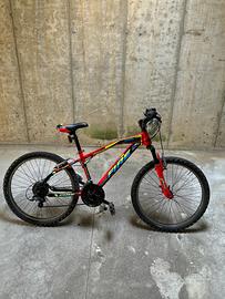 Bici Brera 24 pollici