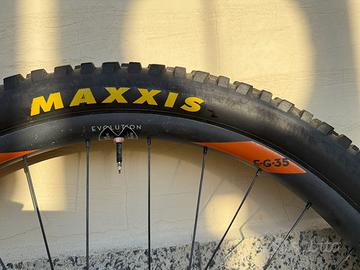 Ruota anteriore 29" NEWMEN EVOLUTION SL E. G. 35