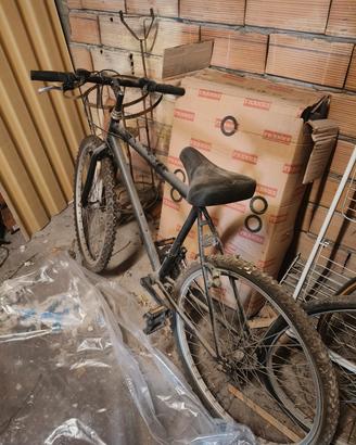 biciclette 