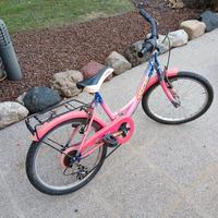 Bicicletta bambina misura 20